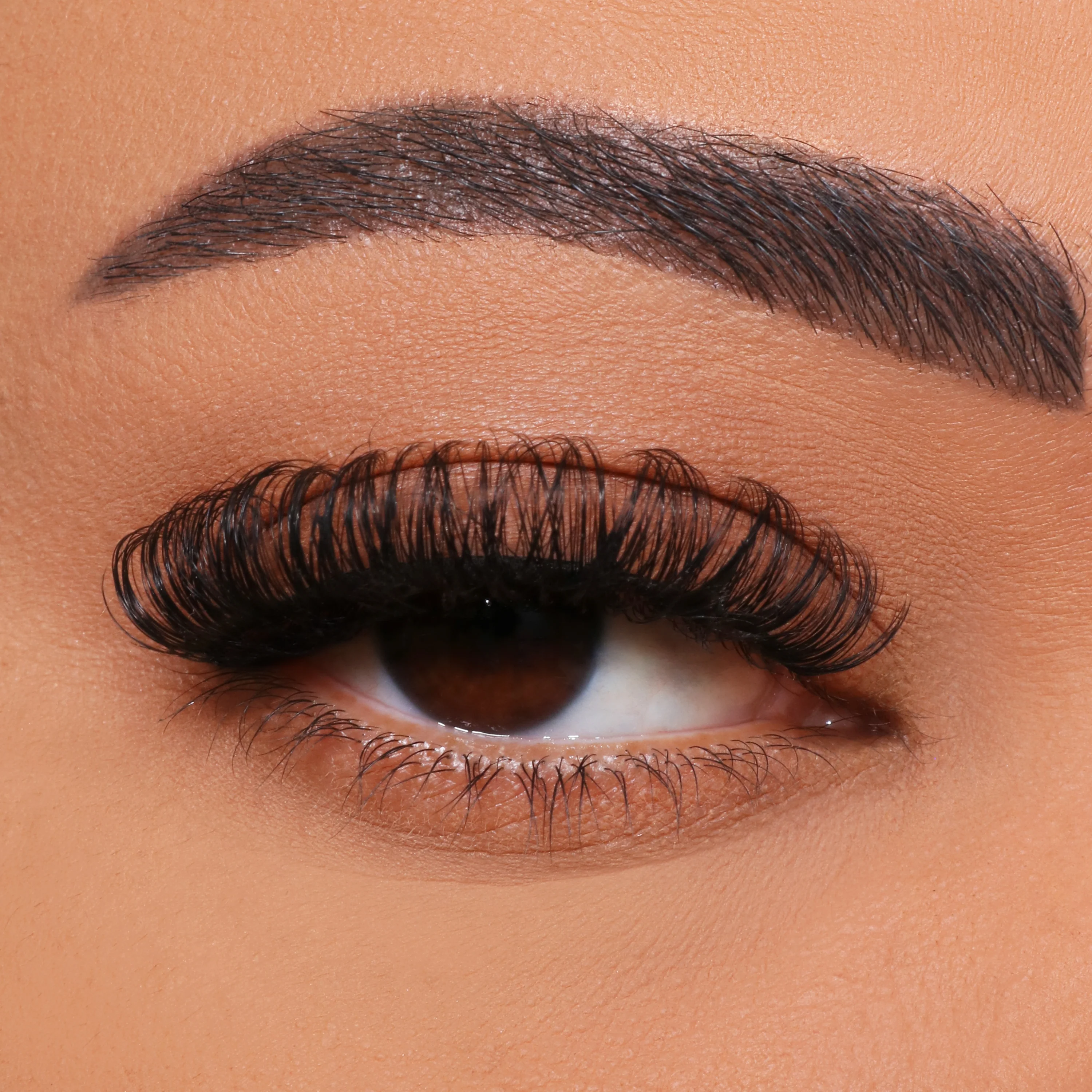 ¿Cómo bricear el injerto de pestañas de flores múltiples?